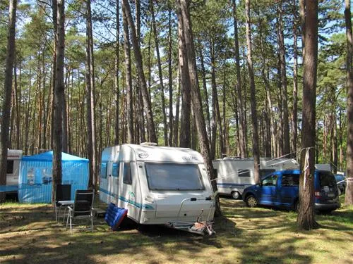 camping-wiking-dziwnwek-tzl83