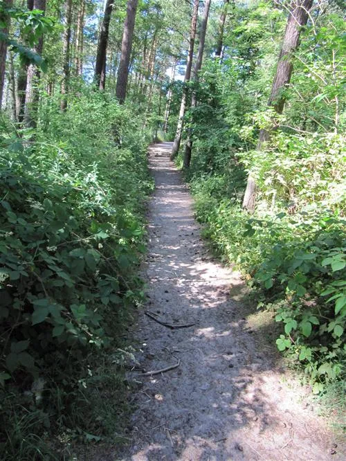 camping-wiking-dziwnwek-wbhue