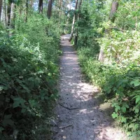 camping-wiking-dziwnwek-wbhue