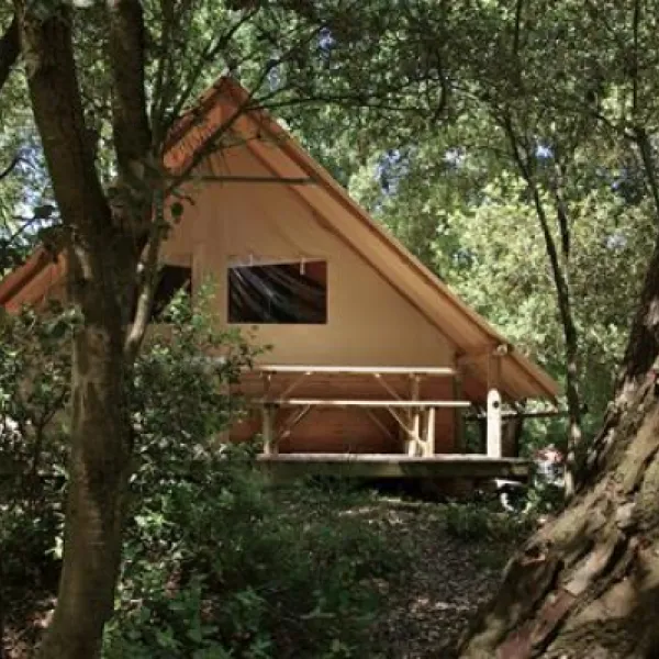 flower-camping-des-pins-soulac-sur-mer-300ik