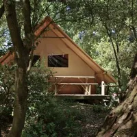 flower-camping-des-pins-soulac-sur-mer-300ik