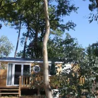 flower-camping-des-pins-soulac-sur-mer-gwcrb