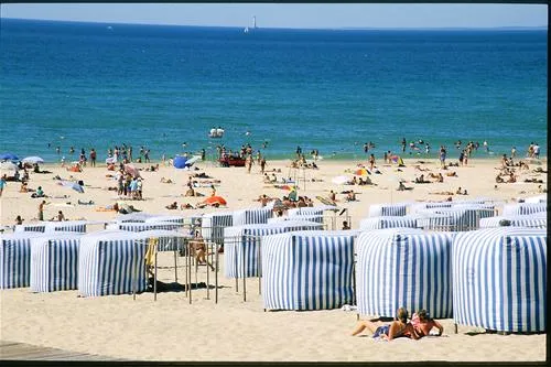 flower-camping-des-pins-soulac-sur-mer-soyjt