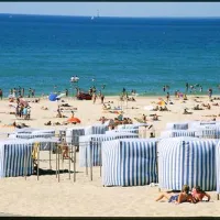 flower-camping-des-pins-soulac-sur-mer-soyjt
