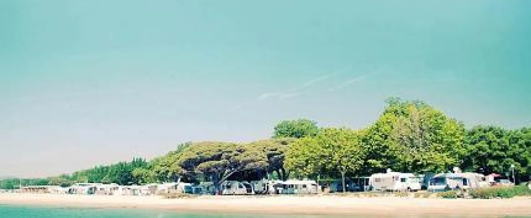 Camping Les Mûres