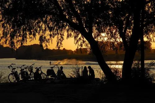 camping-de-loswal-maurik-eif99