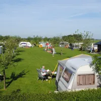 't Oortjeshek