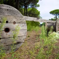 cieloverde-camping-village-marina-di-grosseto-lt9vf