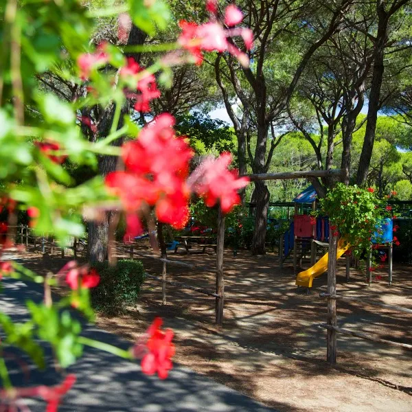 cieloverde-camping-village-marina-di-grosseto-lxzs8