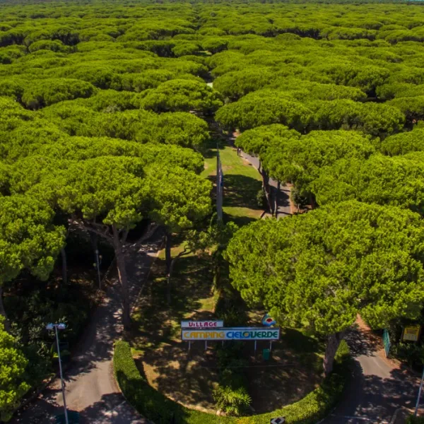 cieloverde-camping-village-marina-di-grosseto-m2w0a