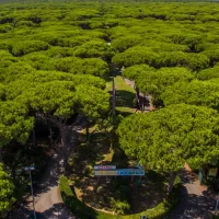 cieloverde-camping-village-marina-di-grosseto-m2w0a