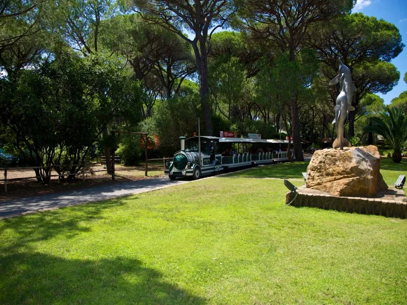 cieloverde-camping-village-marina-di-grosseto-pslaz