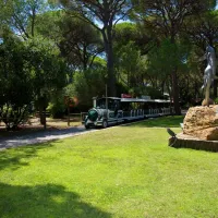 cieloverde-camping-village-marina-di-grosseto-pslaz