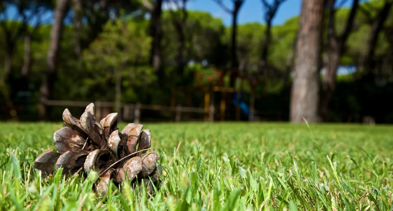 cieloverde-camping-village-marina-di-grosseto-ybmep