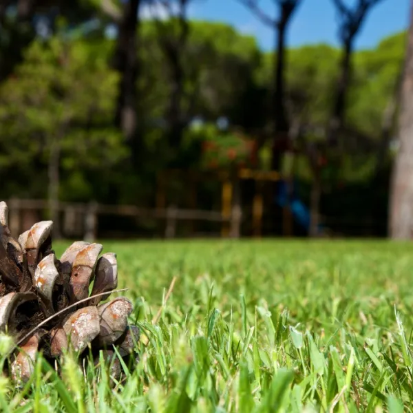 cieloverde-camping-village-marina-di-grosseto-ybmep