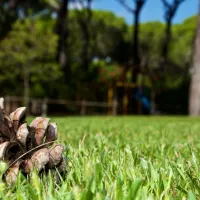 cieloverde-camping-village-marina-di-grosseto-ybmep