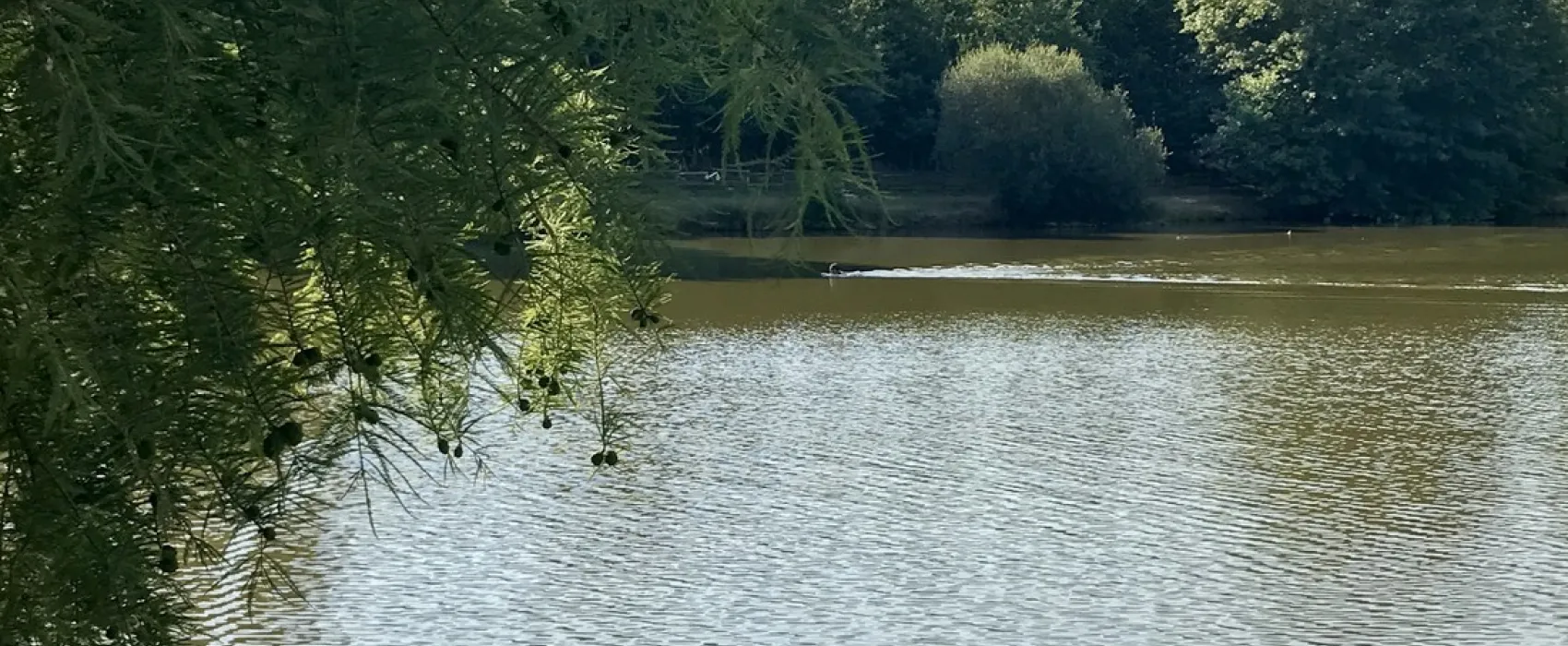 Domaine Le Moulinal Camping France Loc  