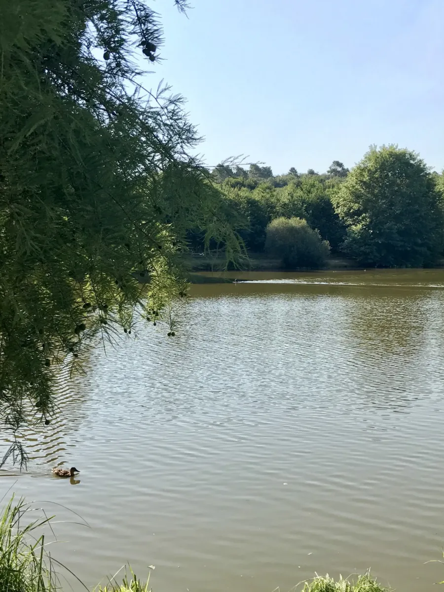 domaine-le-moulinal-camping-france-loc-biron-iaiav