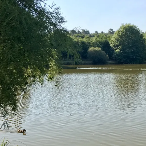 Domaine Le Moulinal Camping France Loc  