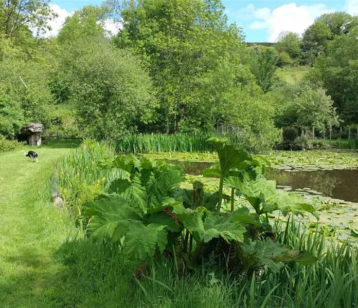 dolbryn-camping-and-caravanning-newcastle-emlyn-dbzlq