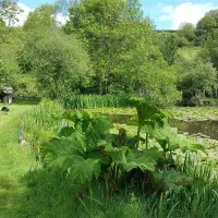 dolbryn-camping-and-caravanning-newcastle-emlyn-dbzlq