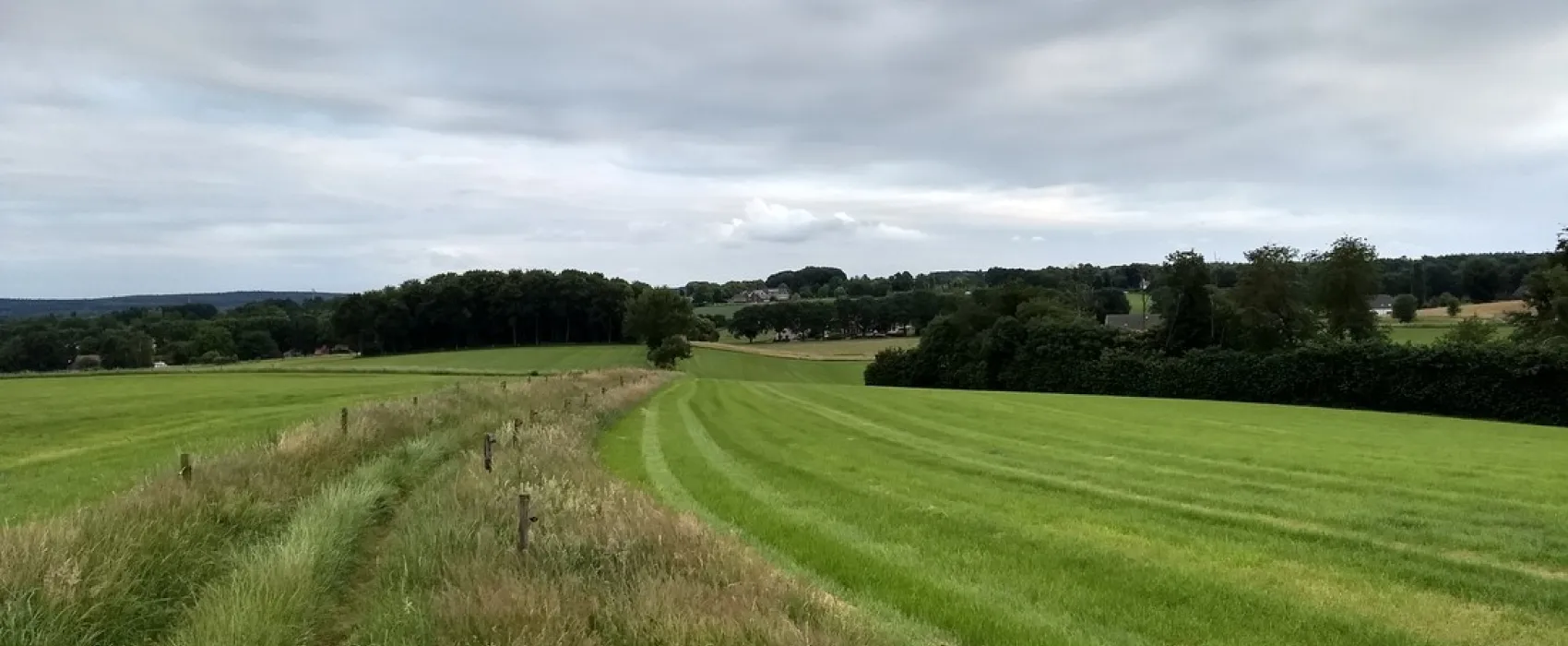 De Hoge Hof