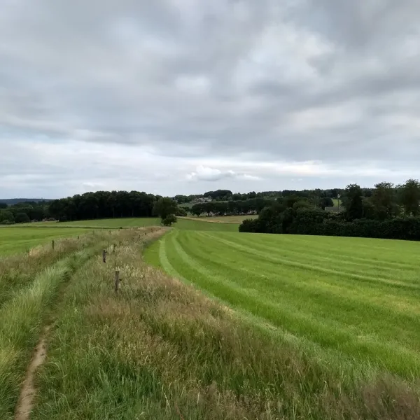 de-hoge-hof-groesbeek-ndztr