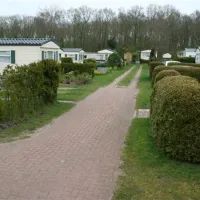 camping-de-wite-burch-bakhuizen-sbxei