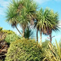 camping-des-abers-landda-xaeuc