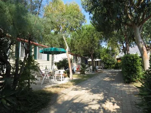 campeggio-bella-vista-campochiesa-albenga-glojz