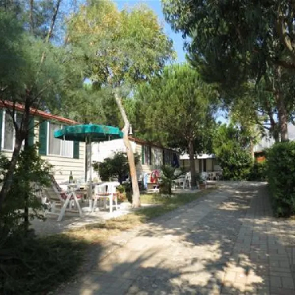 campeggio-bella-vista-campochiesa-albenga-glojz