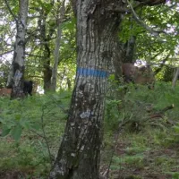 camping-naturistes-domaine-de-lambeyran-lodeve-3rn4l