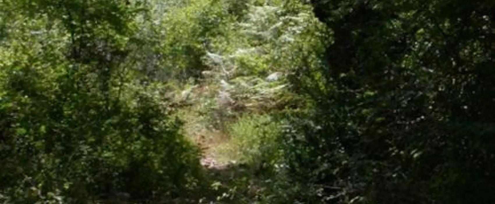 Camping Naturistes Domaine de Lambeyran  