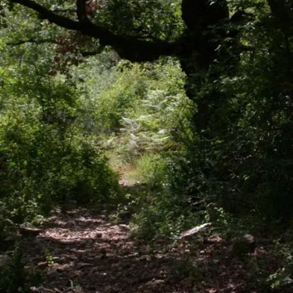 camping-naturistes-domaine-de-lambeyran-lodeve-44efh