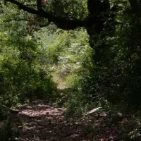 camping-naturistes-domaine-de-lambeyran-lodeve-44efh