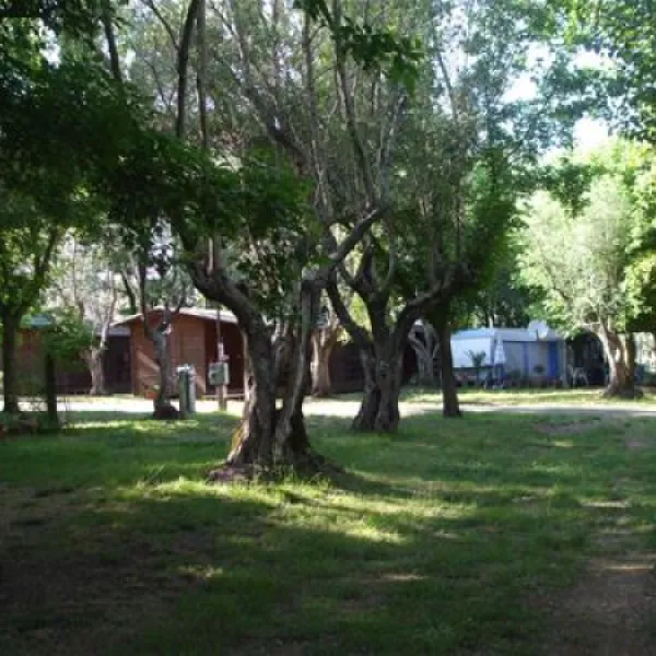camping-azzurro-bracciano-067mi