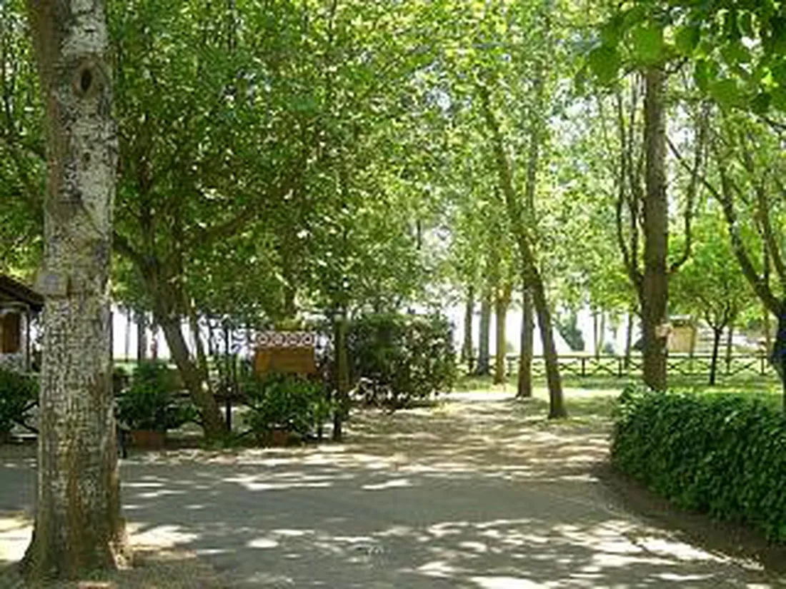 camping-azzurro-bracciano-6tvp4