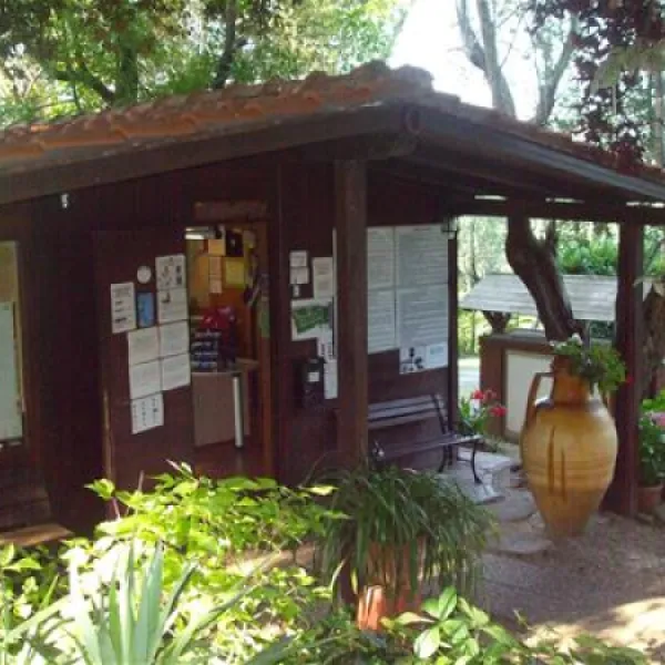 camping-azzurro-bracciano-vp5fy