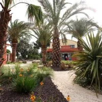 le-bois-fleuri-argeles-sur-mer-xt8ix