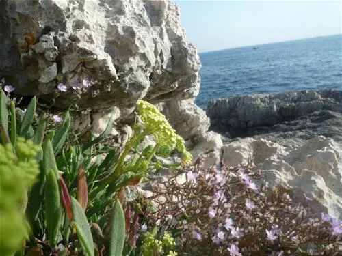 camping-stoja-pula-hj0zd