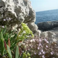 camping-stoja-pula-hj0zd
