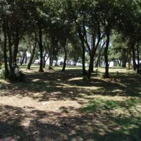 camping-stoja-pula-vma1a