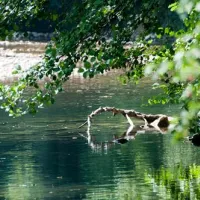 camping-universal-rochegude-ja0lg