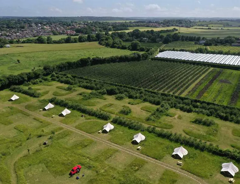 fallow-fields-camping-at-selson-farm-eastry-enrg0