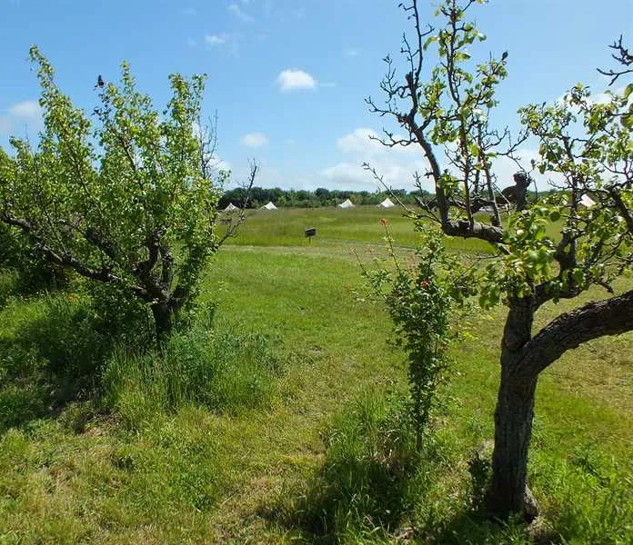fallow-fields-camping-at-selson-farm-eastry-irlyh