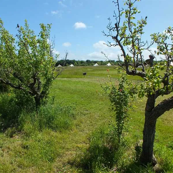 fallow-fields-camping-at-selson-farm-eastry-irlyh