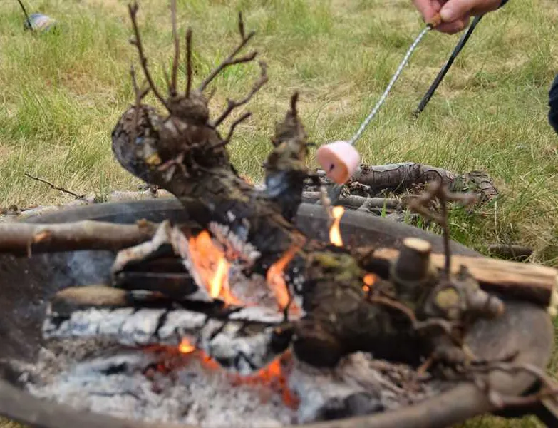 fallow-fields-camping-at-selson-farm-eastry-rimno