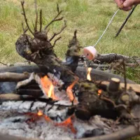 fallow-fields-camping-at-selson-farm-eastry-rimno