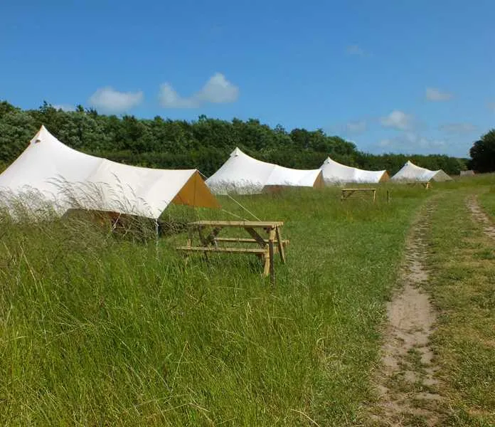 fallow-fields-camping-at-selson-farm-eastry-zfyiu