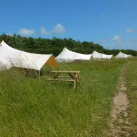 fallow-fields-camping-at-selson-farm-eastry-zfyiu
